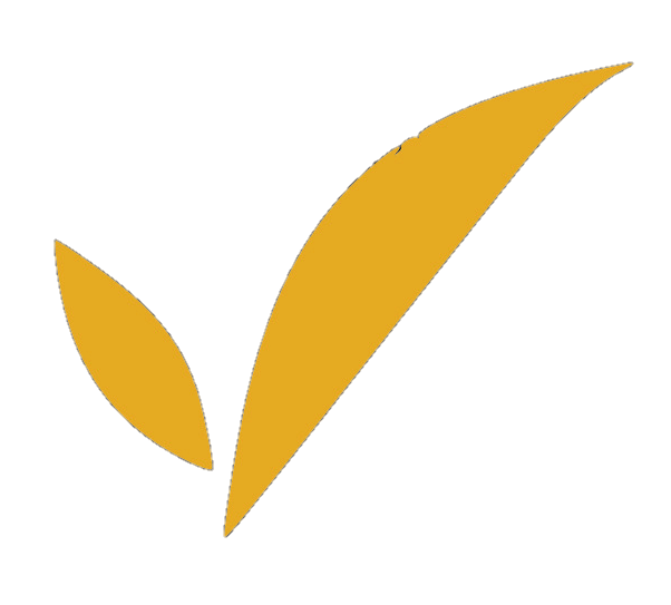 LogoShop